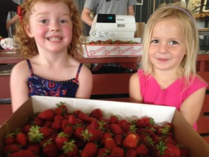 rhappy_girls_and_strawberries strawberries