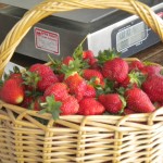 Strawberries in basket