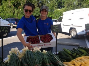 berryville farm market